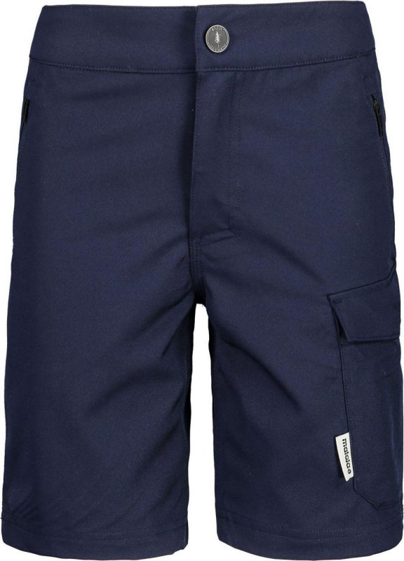 Maloja SpierB night sky