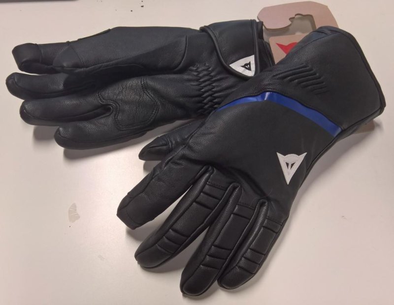 Lyžařské rukavice Dainese Speedcarve black/white/blue