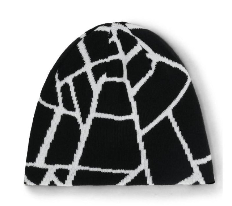 Čepice Spyder Reversible Web Hat Spyder white