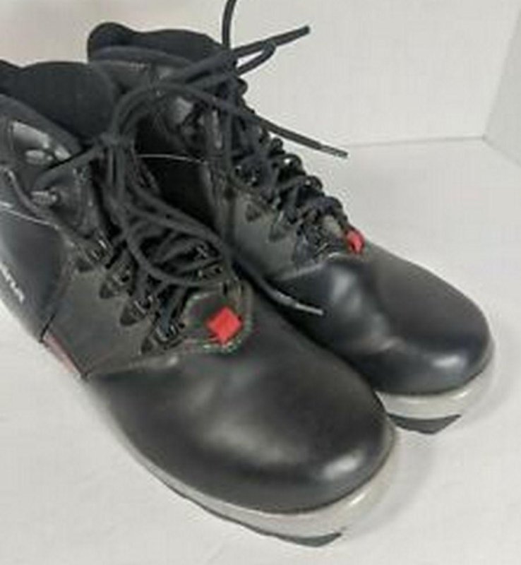 Alpina BC100 blk/sil